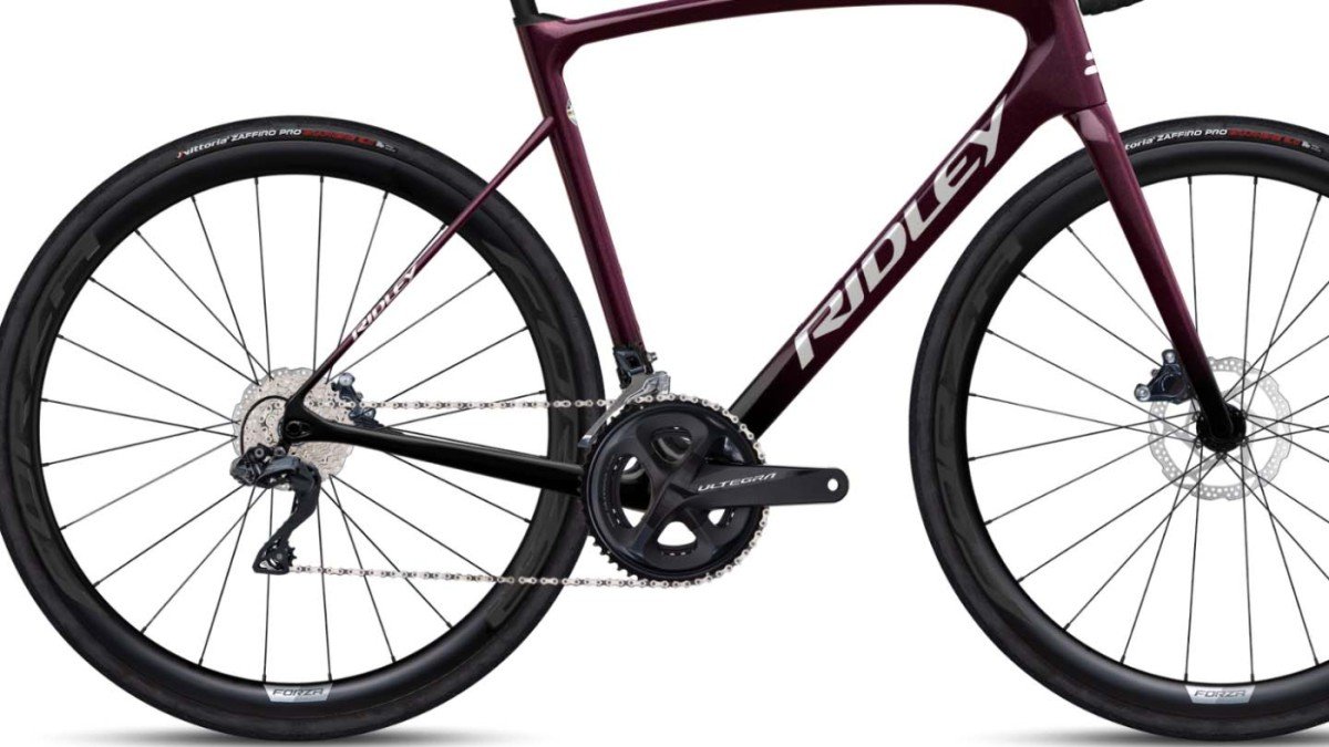 Ridley Fenix Disc Ultegra 2x11 Radiant - Afbeelding 4
