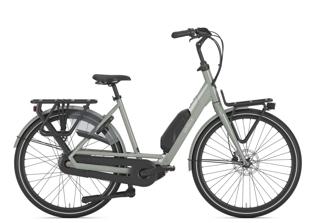 Gazelle Bloom C310 DAMES