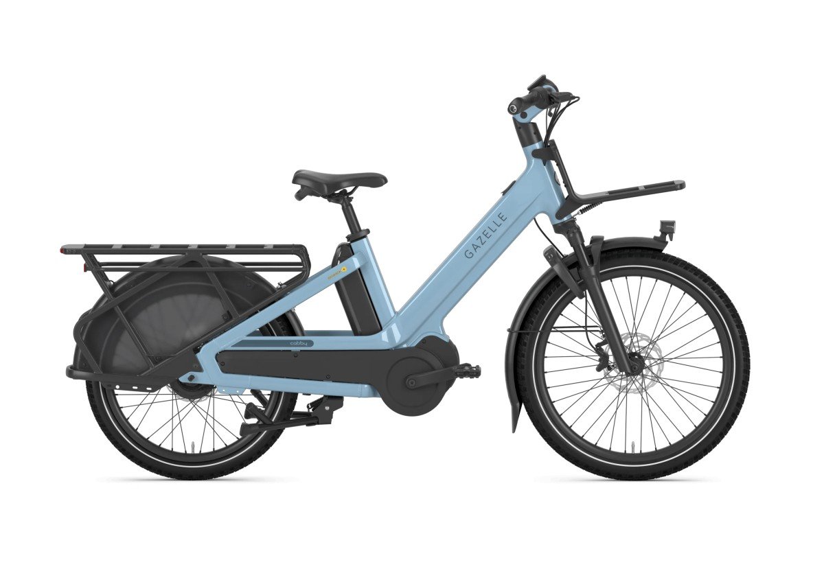 Gazelle Demo Cabby C380 Dames